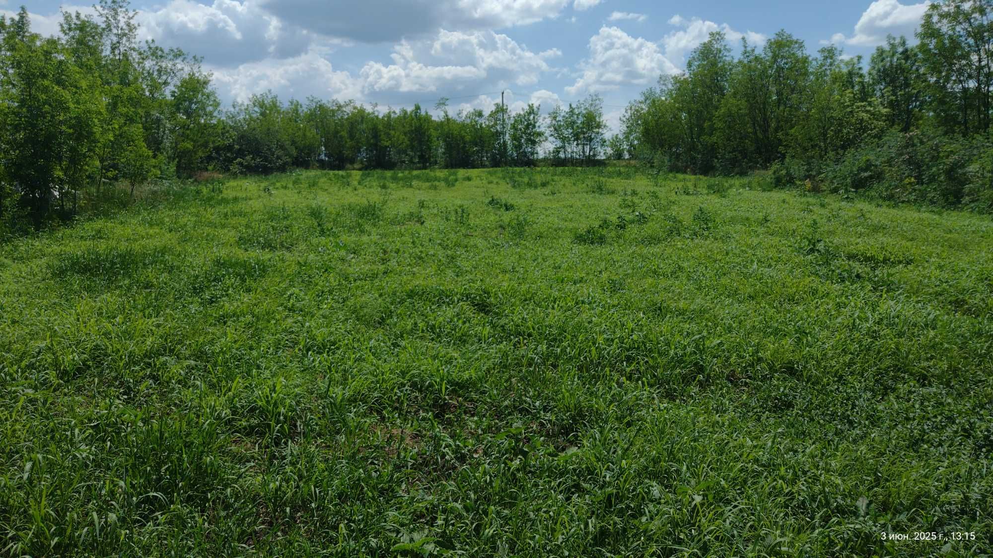 Продам земельну ділянку з житловим будинком, потребує рем.с. Соколівка