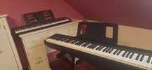 CASIO Casiotone LK-S250