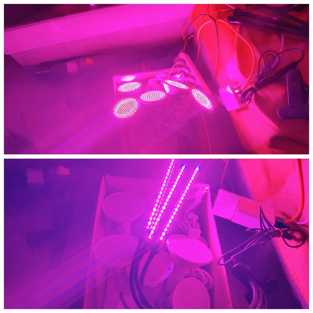 Żarówki wzrostowe 20W ze statywami do roślin + potrójna lampa USB
