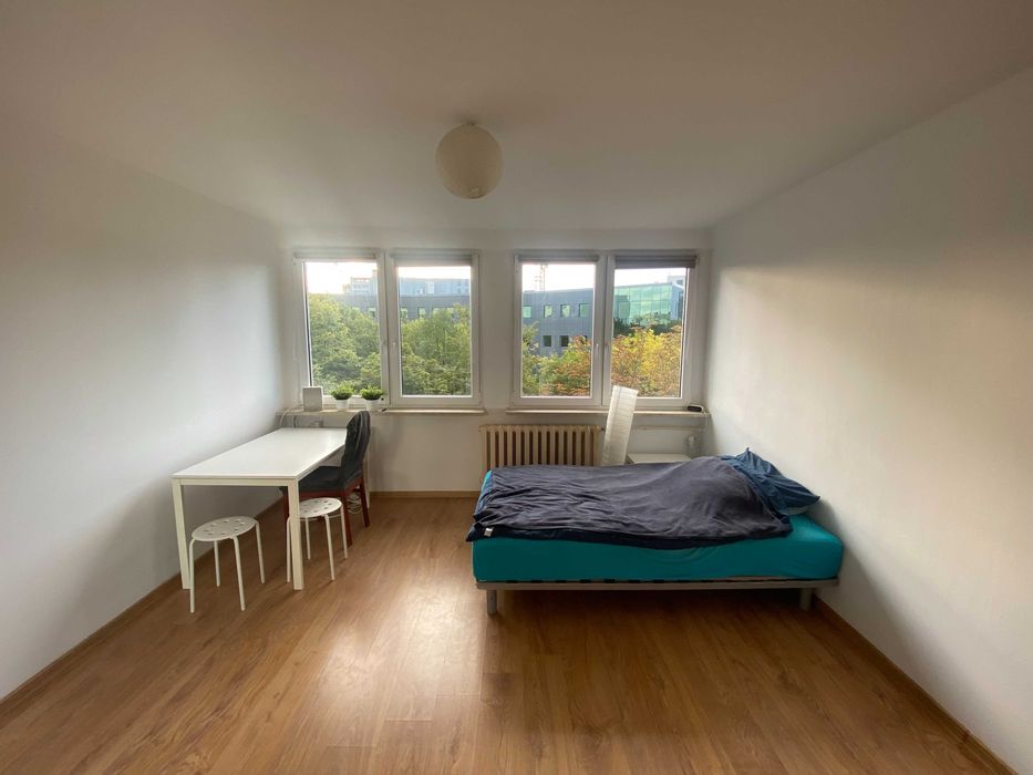 Oddam pilnie materac dwuosobowy