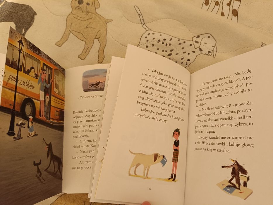 Zapchlony kundel na plaży i w szkole