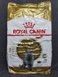OLX доставка! Акція! 10kg Royal Canin British Shorthair Adult