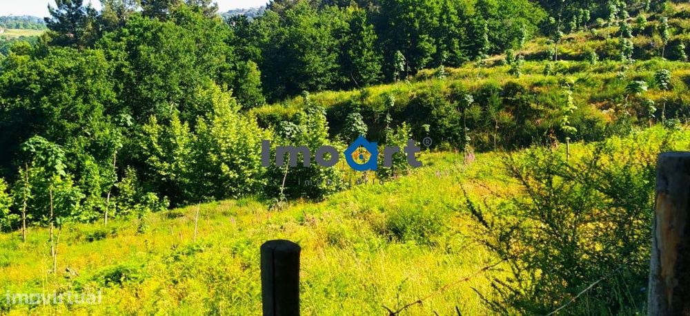 Terreno com nascente de Água!