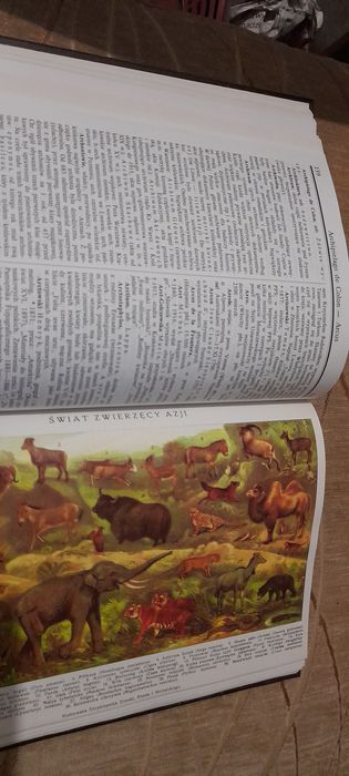 Ilustrowana encyklopedia Trzaski, Everta i Michalskiego Tom I