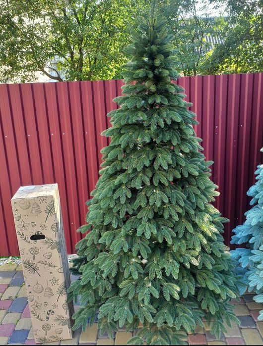 Лита ялинка Швейцарська, зелена та блакитна. Розміри: від 1.5м до 2.5м