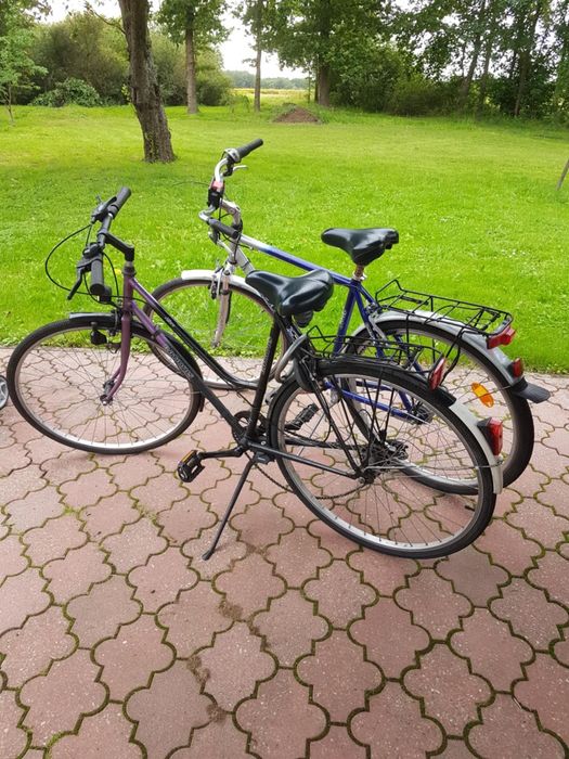 Rower Opus I Batavus