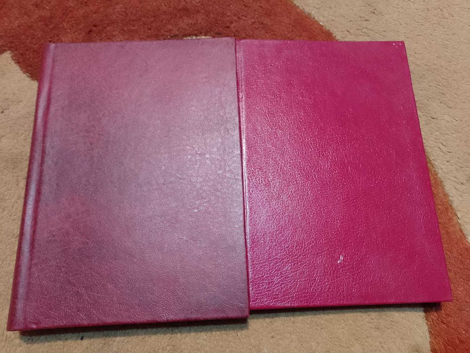 Dwie książki XIX wiek literatura rzymska antyk