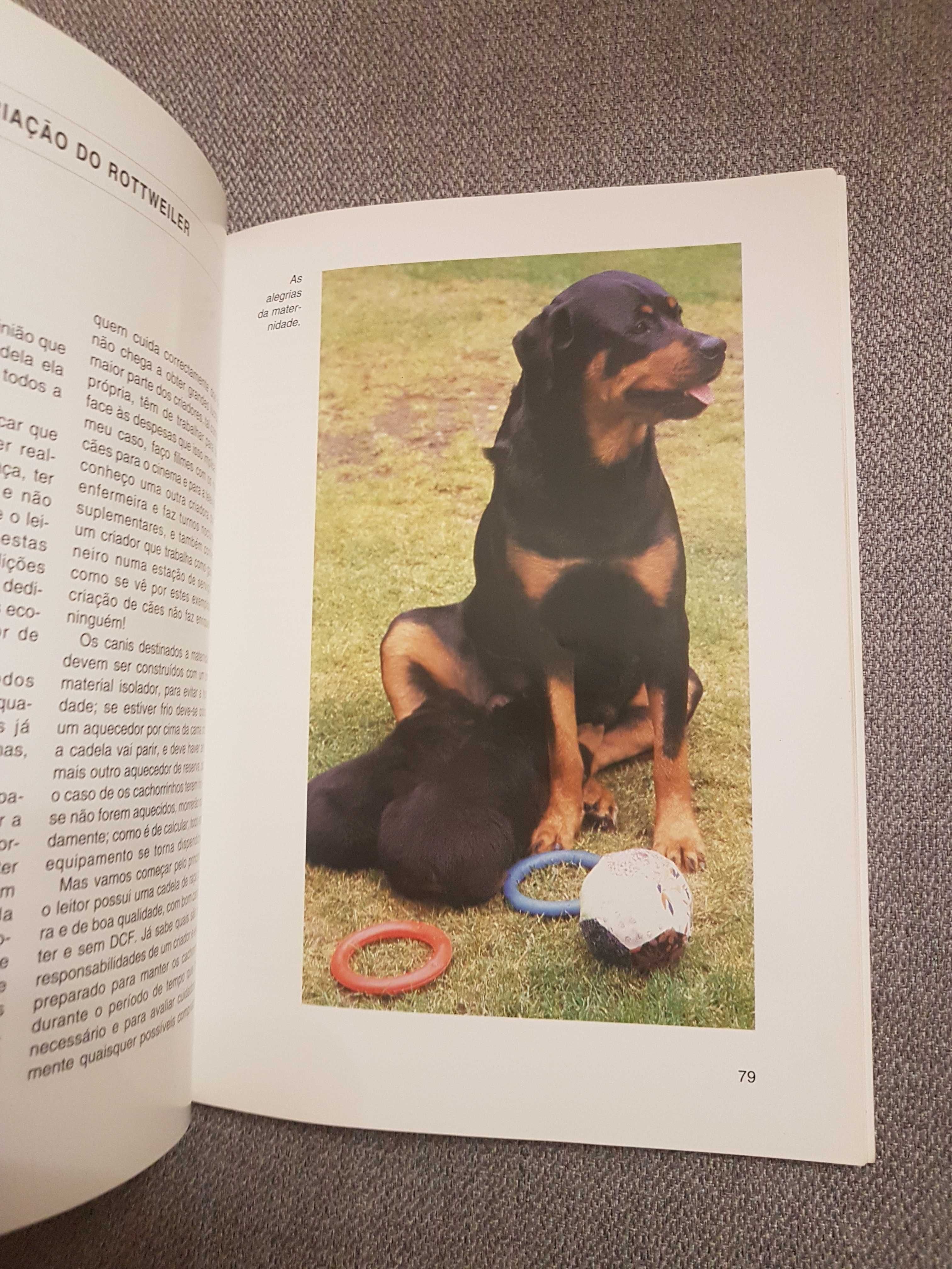 O Rottweiler Colecção Habitat