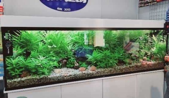 Zestaw akwariowy 200x60x60