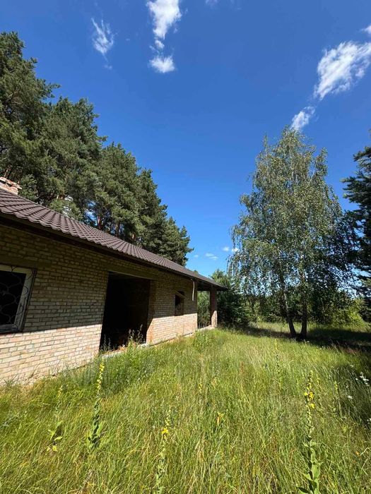 Будинок у сосновому лісі