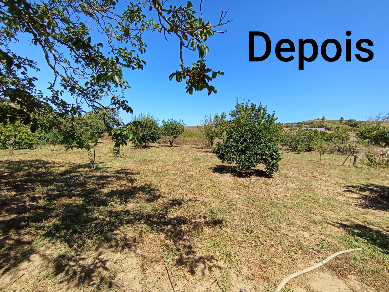 Limpeza de terrenos com roçadora
