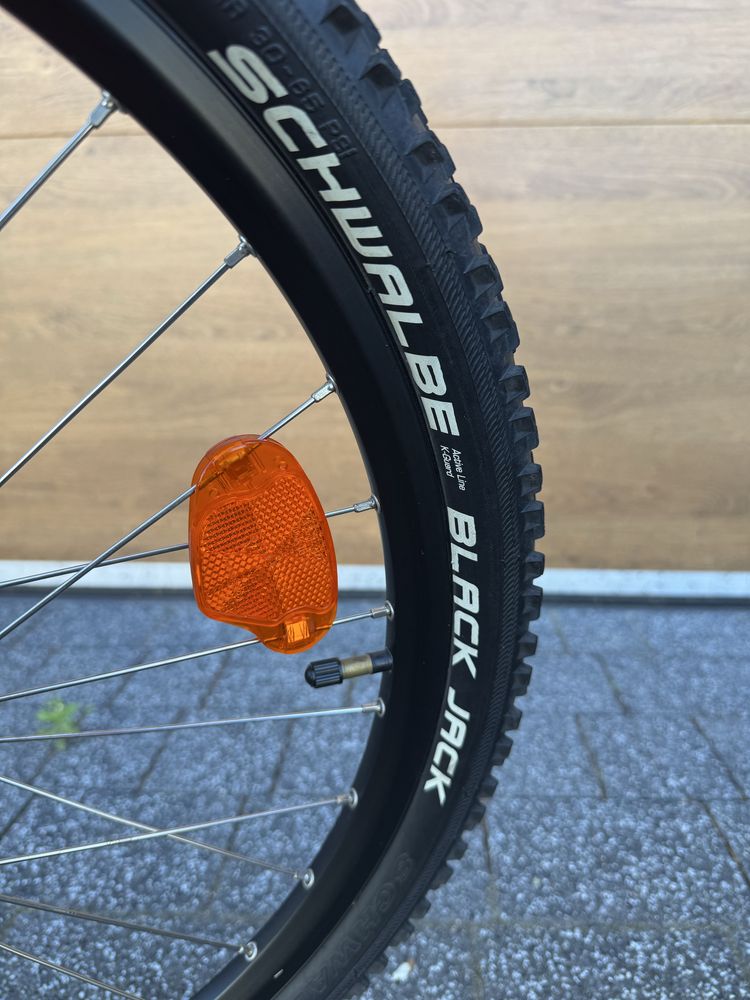 Rower KTM Wild Speed Disc 24