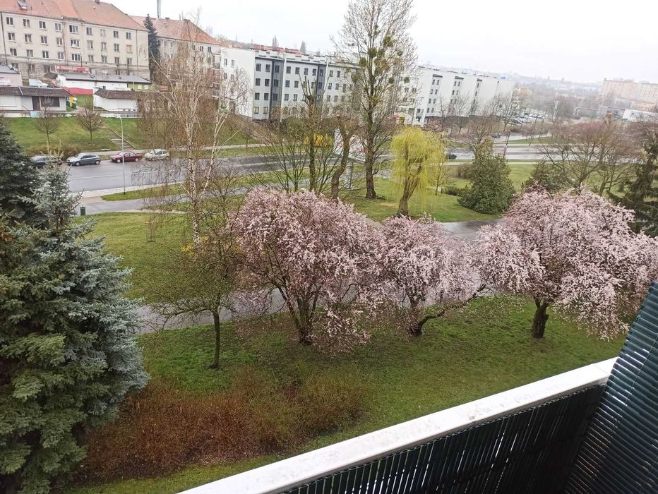 Sprzedam mieszkanie, Winogrady, os. Przyjaźni, bezpośrednio!