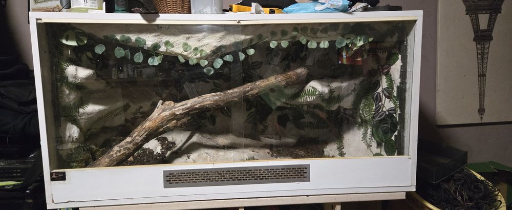 Terarium do jaszczurek i wezy