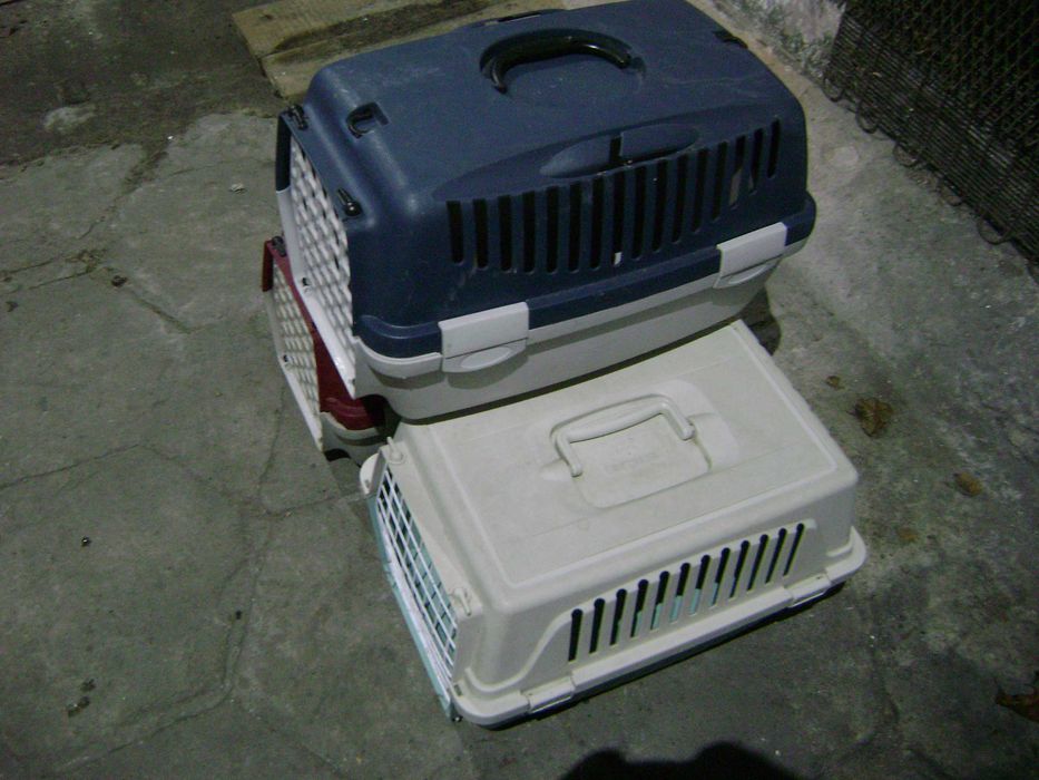 transporter dla zwierzaczków