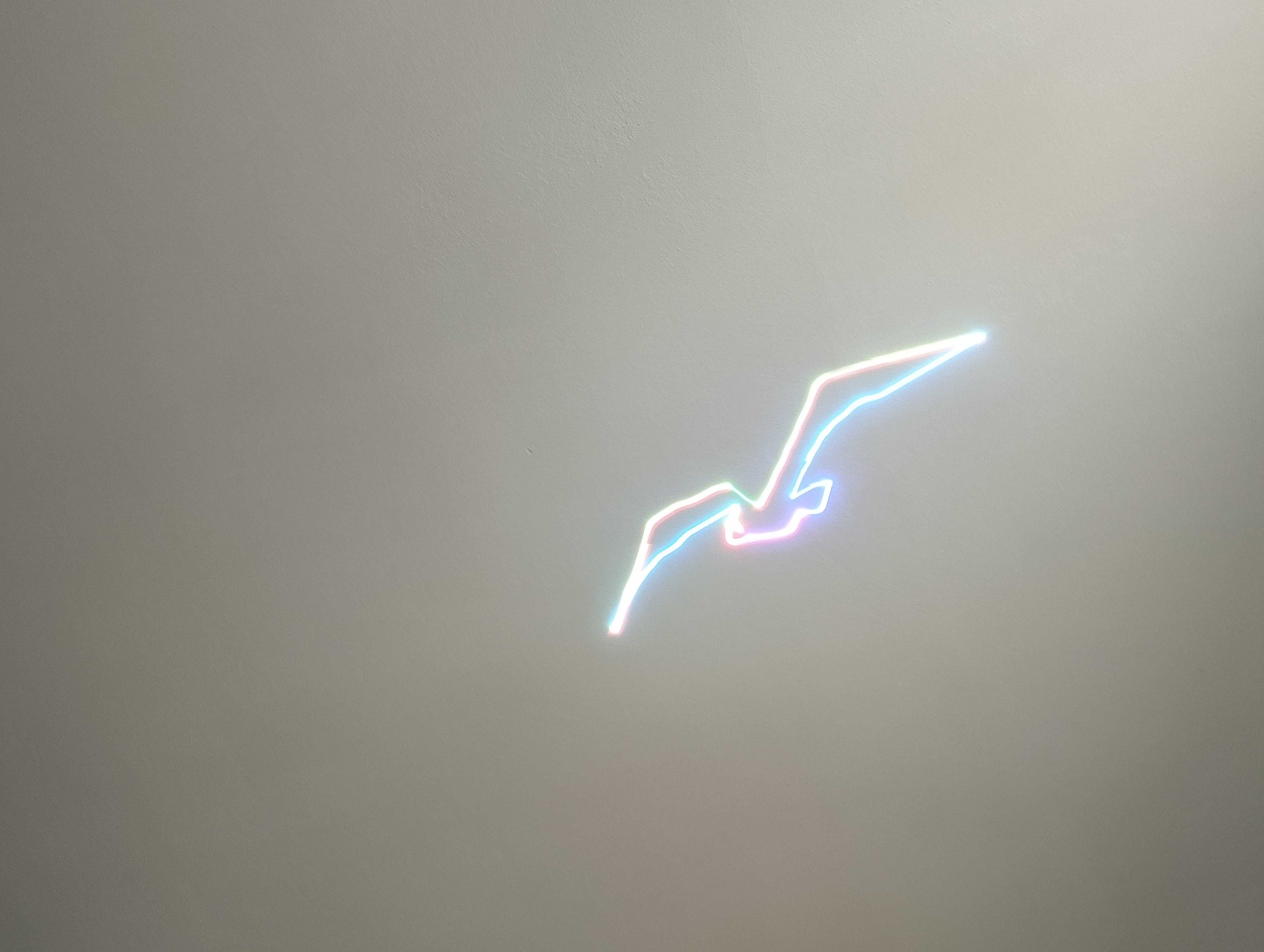 Laserworld DS-2000 RGB ShowNET - laser z wgranymi pokazami laserowymi!