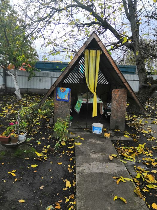 Продається будинок с. Пустовіти