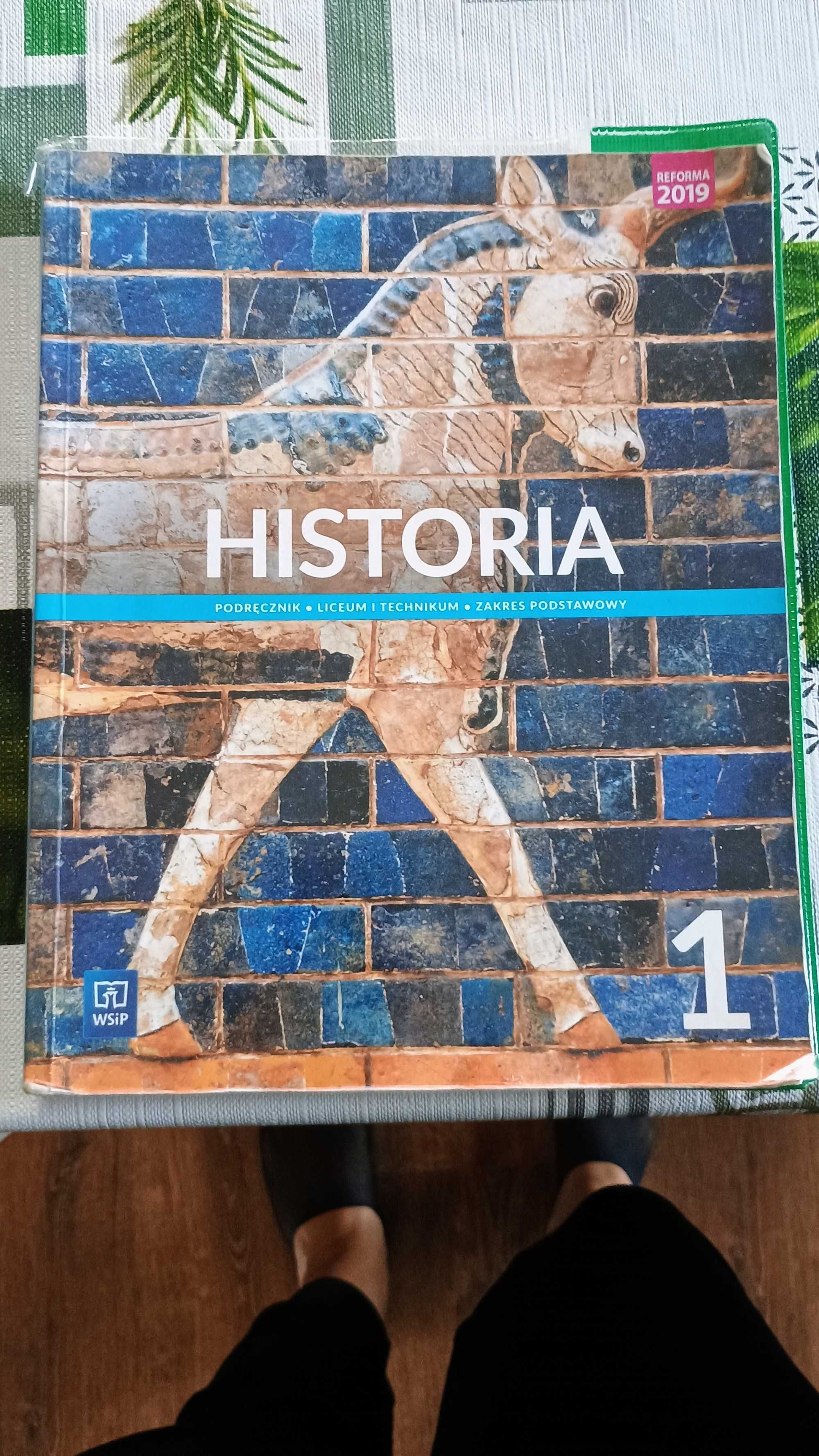 Podręcznik Historia 1