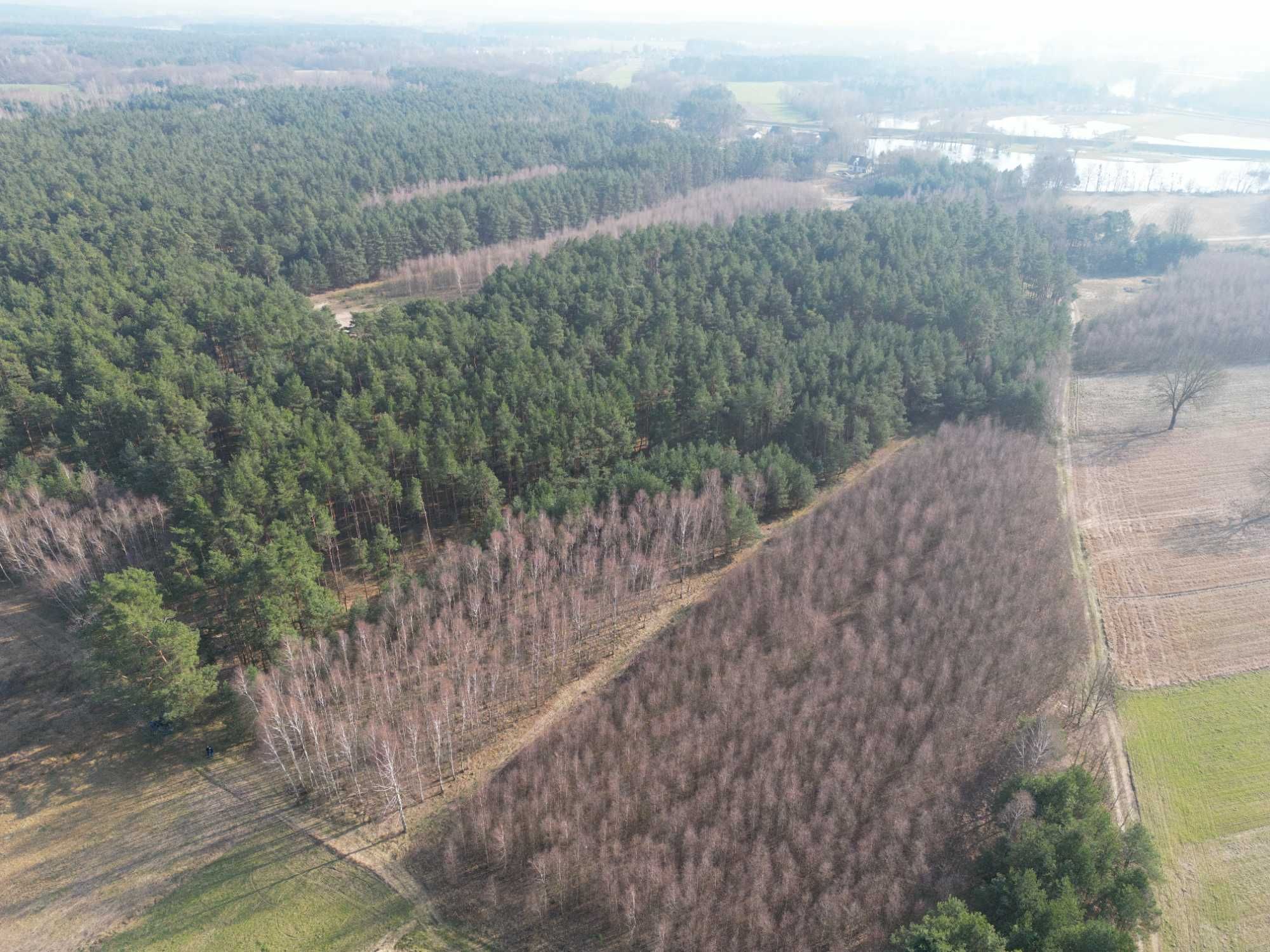 Działka Las Nowa Wieś Śladów Brochów Sochaczew Rzeka Bzura 1.2 ha