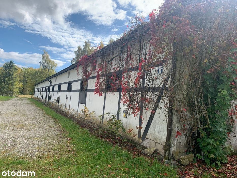 Magazyn/Hala - 530 M2 - Lampa 80, Gm. Chmielno + Plac