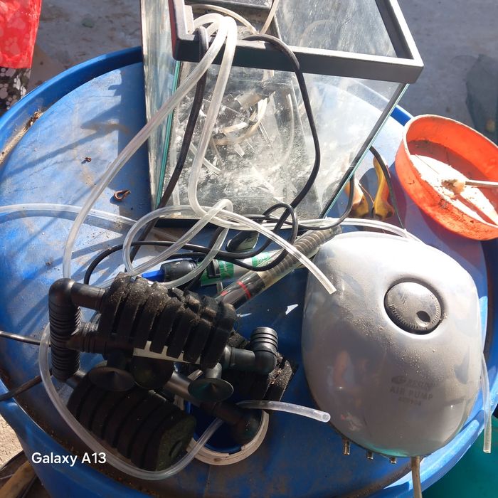 Aquario para peixes