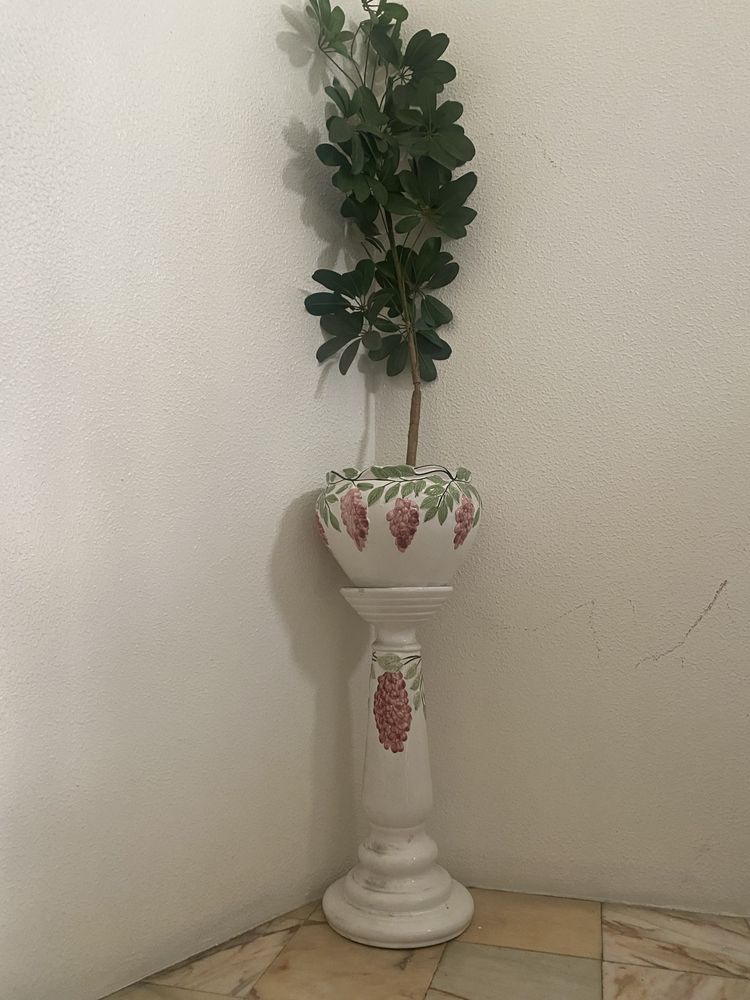 Vasos - varias unidades OFERTA de plantas