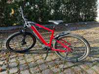 Rower Ecobike rx 500