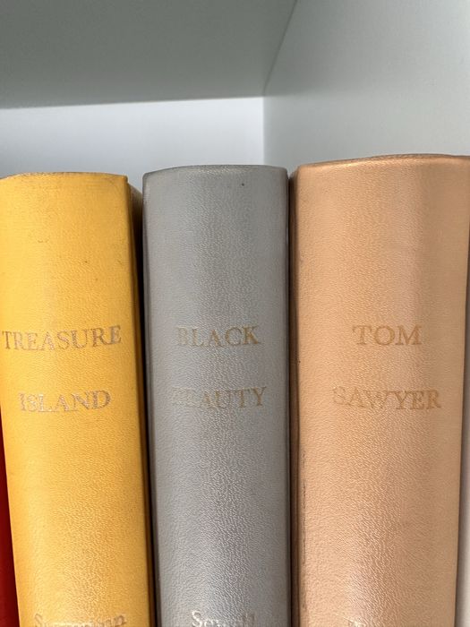 Colecao de livros super decorativos da Caxton Junior Classics novos