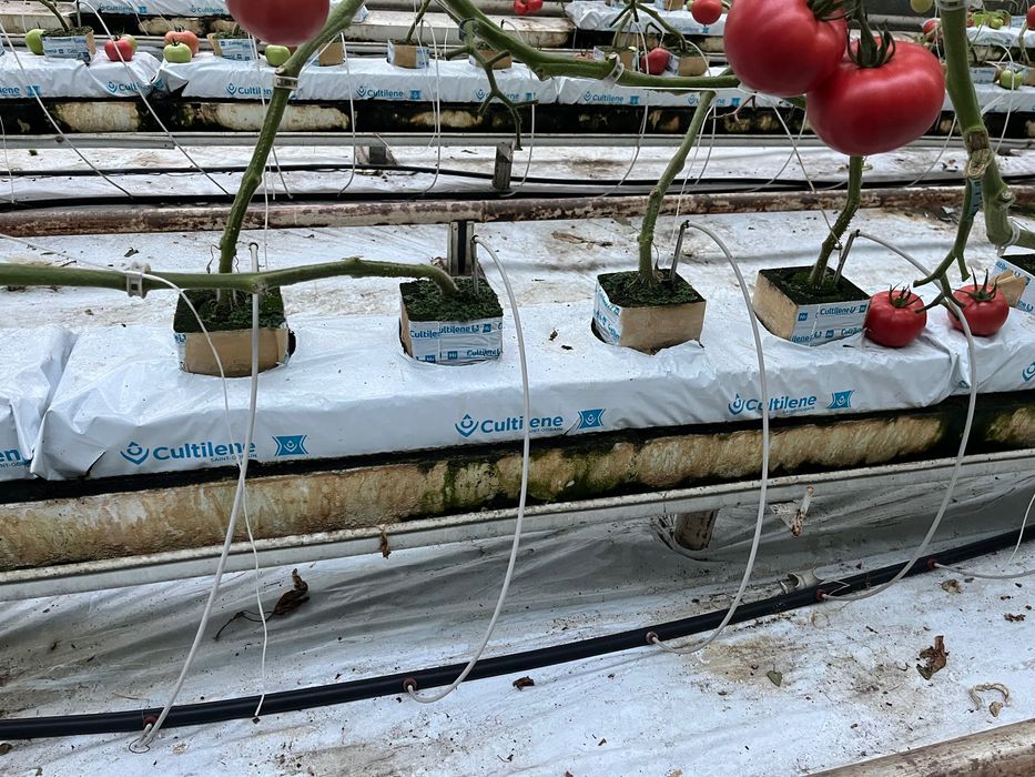 Maty uprawowe wełna mineralna kostka