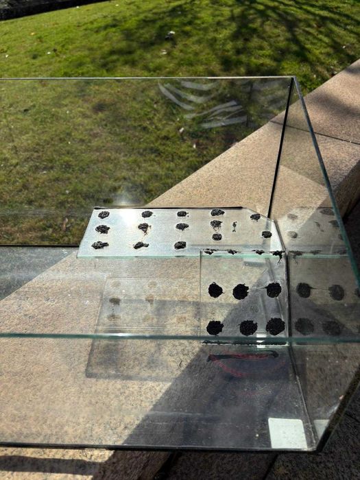 Aquário de vidro com filtro tartaruga