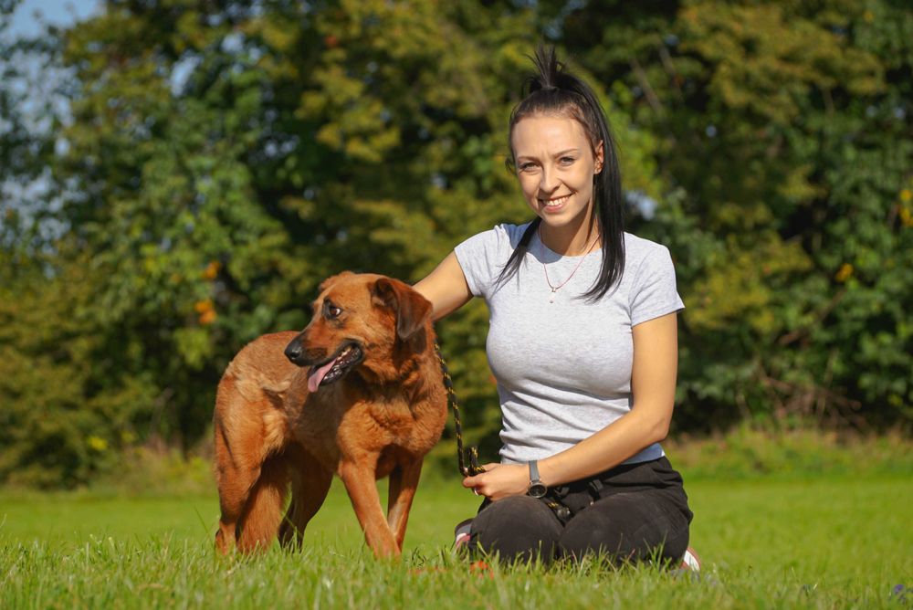 Andrea - śliczna sunia szuka domu