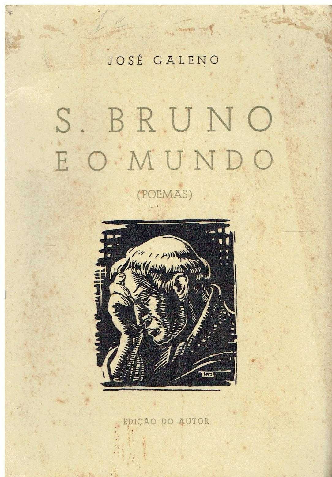 11780

S. Bruno e o mundo : poemas / 
de José Galeno.