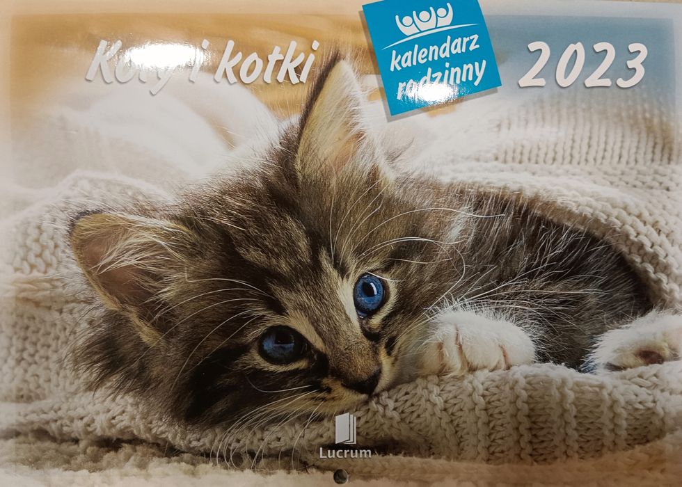 Kalendarz 2023 ścienny koty i kotki