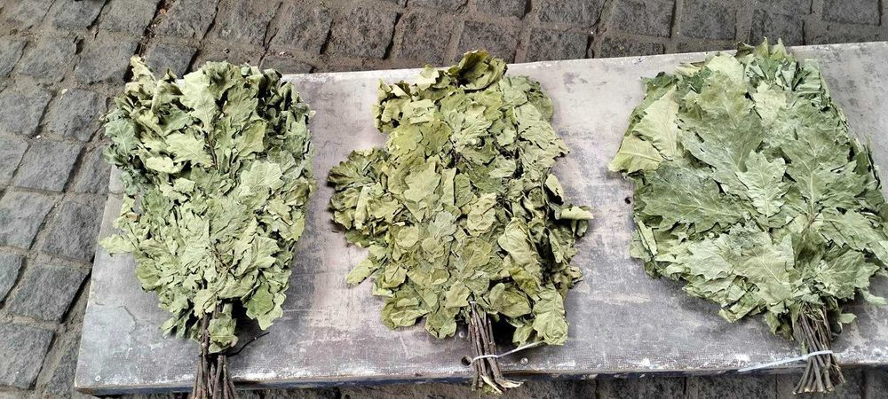 Віники для бані дуб береза