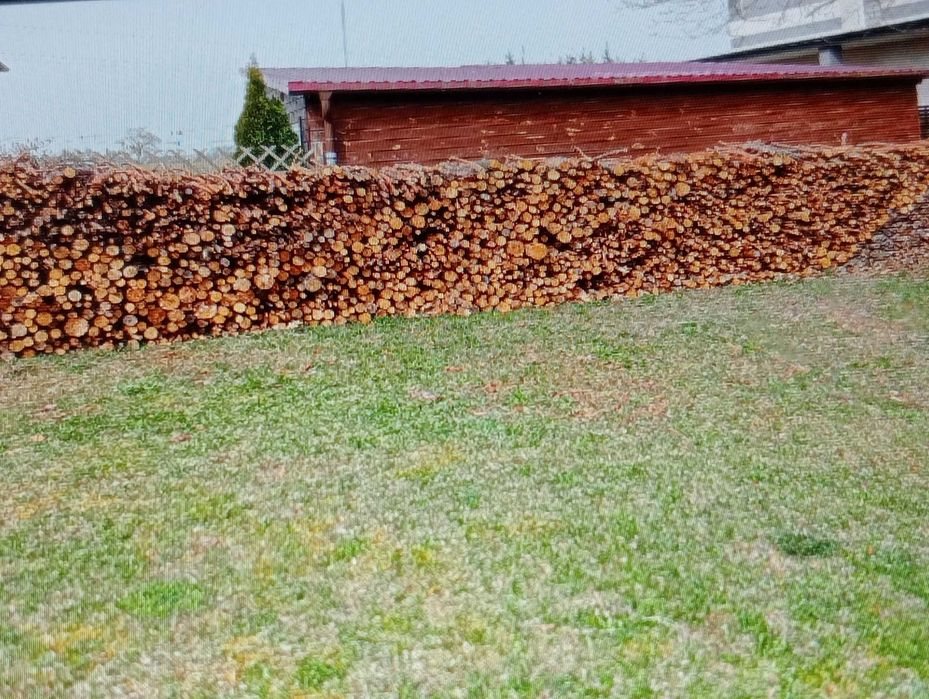 Drewno opalowe sosna