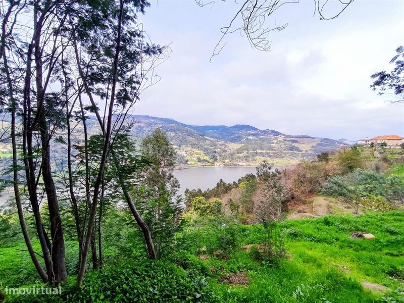 Terreno / Resende, Anreade e São Romão de Aregos
