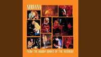 Nirvana's Ferocious Live From The Muddy Banks Of The Wishkah CD