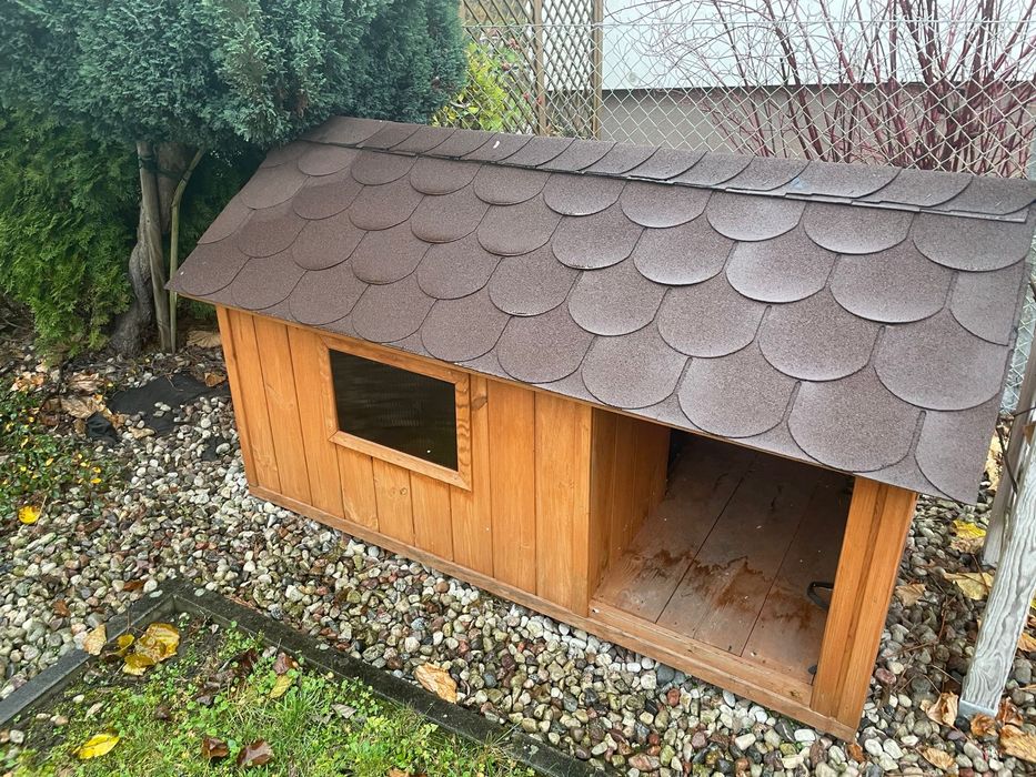 Wypasiona buda dla psa