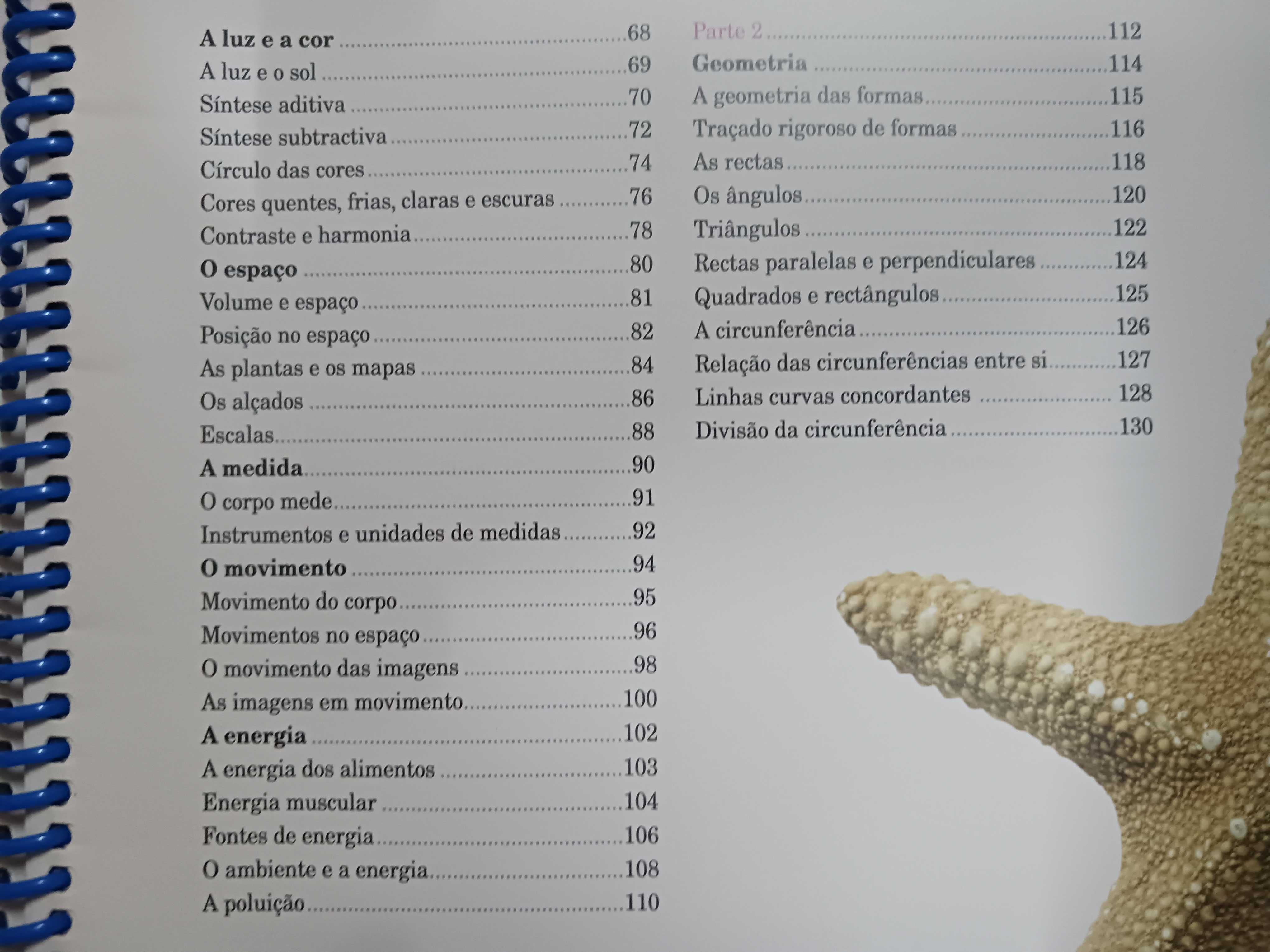 Manual EVT 5-6 Educação Visual e Tecnológica : 5º e 6º Anos