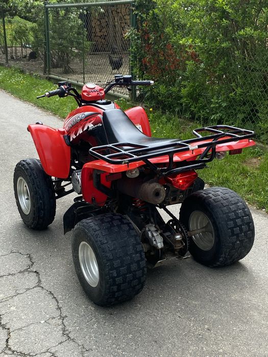 Quad KYMCO 250 / automat / duży / mocny / KXR / MXU / MAXXER