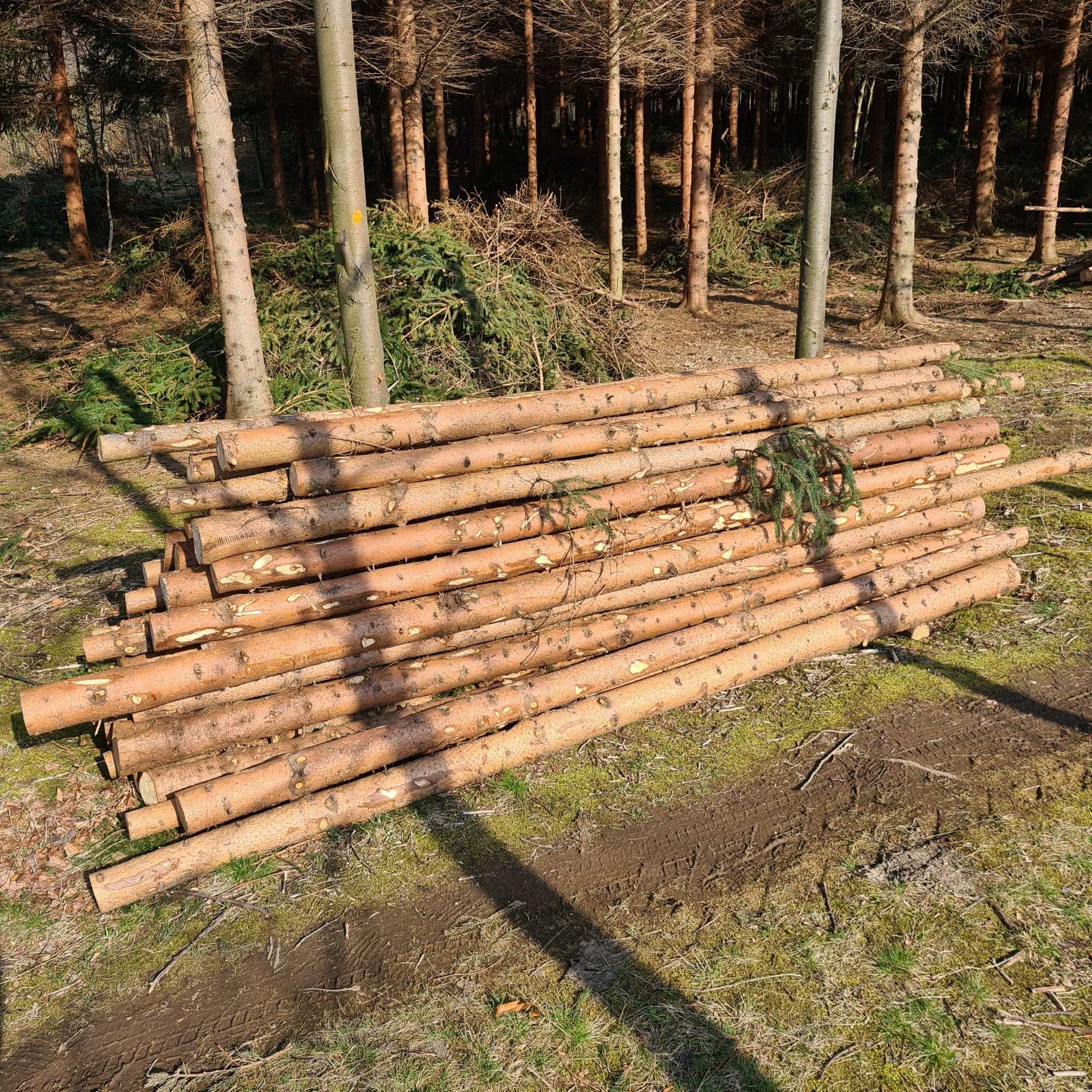 Stęple budowlane świerkowe, słupki drewniane 3m 4m 6m