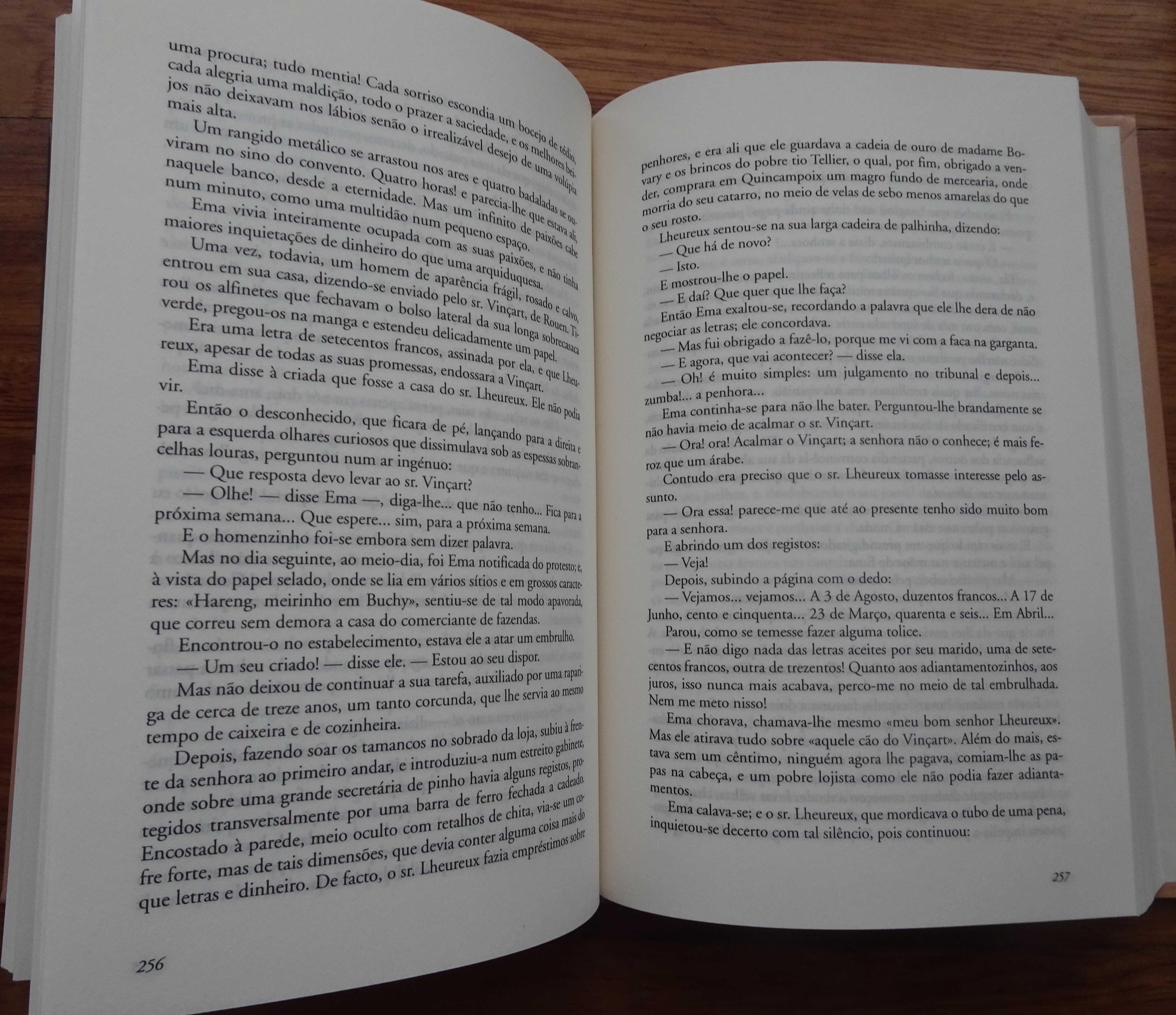 Madame Bovary / Salammbô de Gustave Flaubert