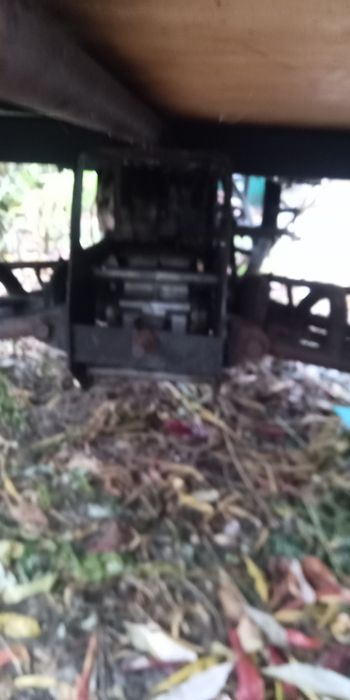 Продаи муравей вробочобустои