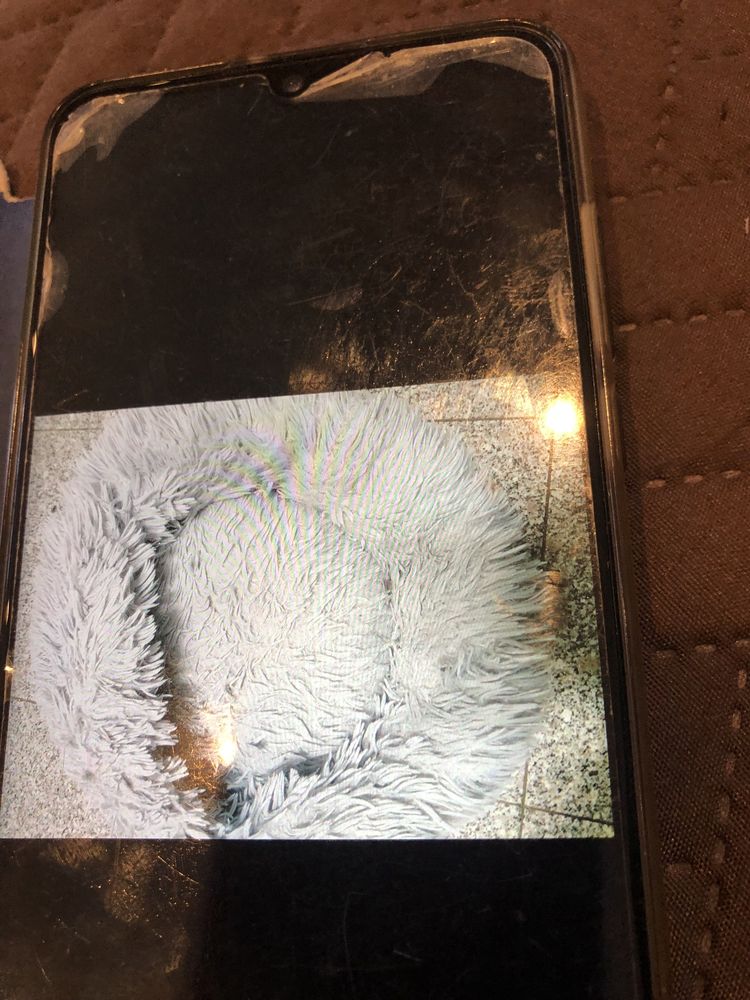 Cama para cão iu gato em tom de cinzento