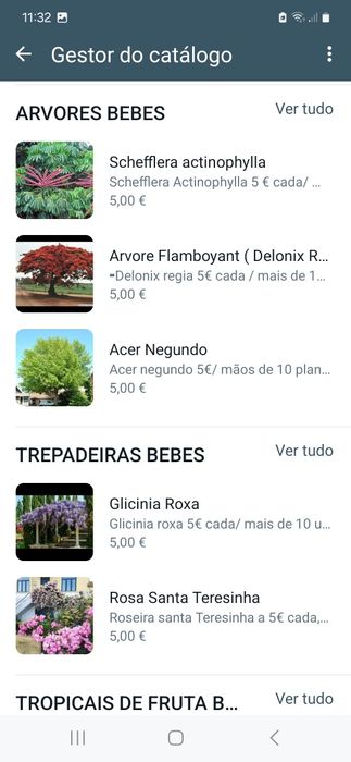 Plantas/Jardins/Utensílios