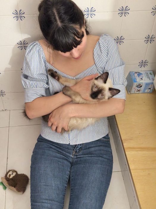Pet sitting e dog walking - cuido do teu animal