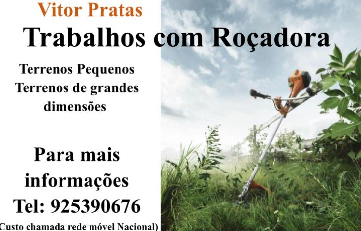 Limpezas de terrenos com roçadora e abate de árvores