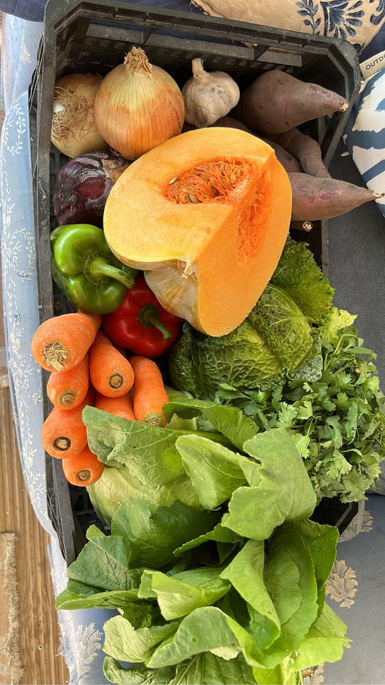 Venda de cabazes de Frutas e Legumes em toda a zona de Lisboa