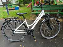 Rower Kross trans