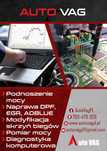 Chiptuning, Naprawa Adblue, NOX, EGR, DPF